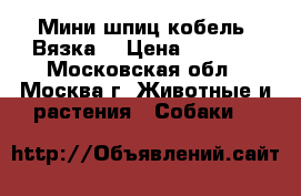 Мини шпиц кобель. Вязка. › Цена ­ 5 000 - Московская обл., Москва г. Животные и растения » Собаки   